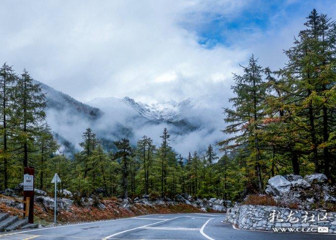 众泰汽车预计去年净亏最多收窄至7.5亿元,整车销量规模较小