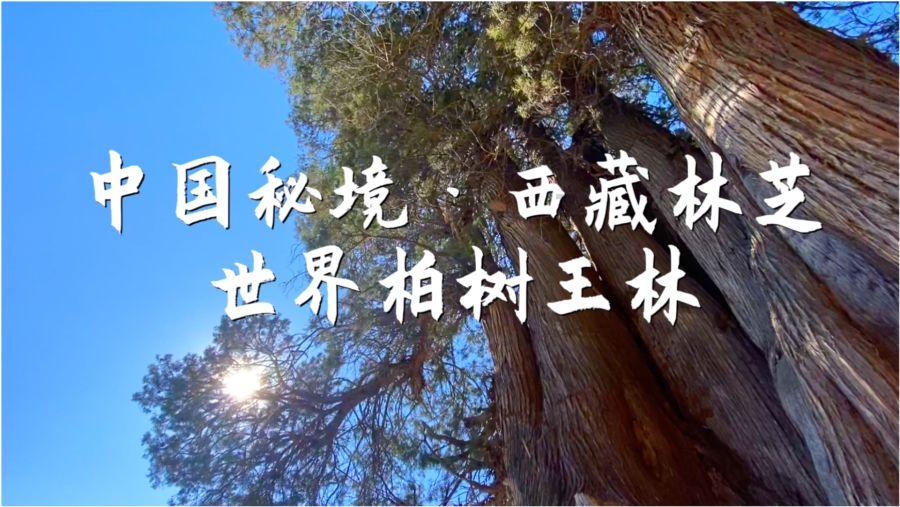 谋局“五篇大文章” 建行山东省分行迈出服务实体经济坚实步伐